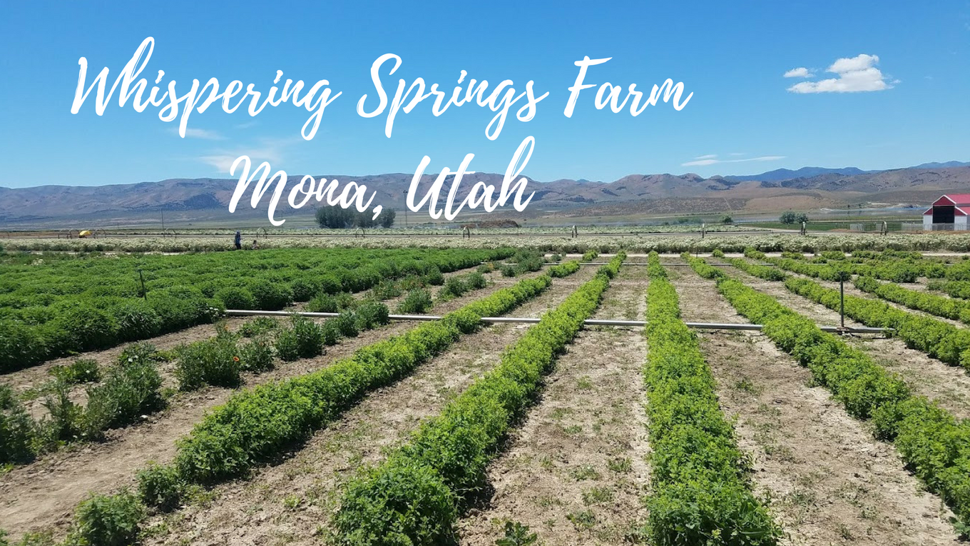Whispering Springs Farm—mona Utah Usa
